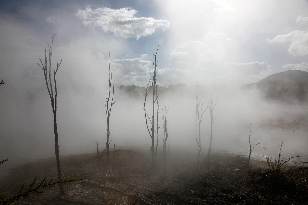Rotorua_NZ_01