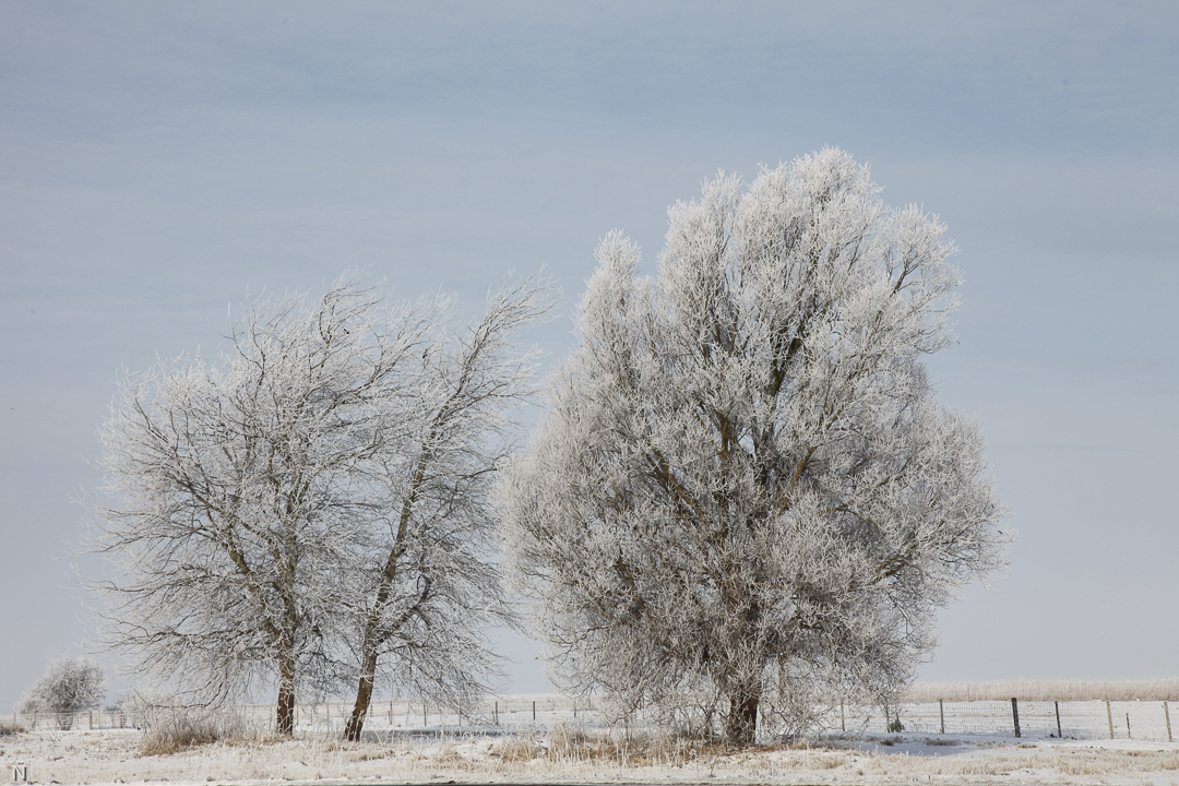 Vinter_2012
