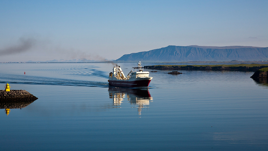 Morning in Reykavik cp