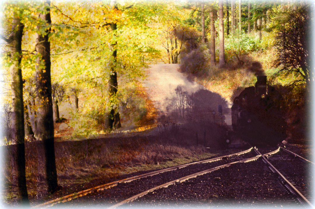 Night-Train cp