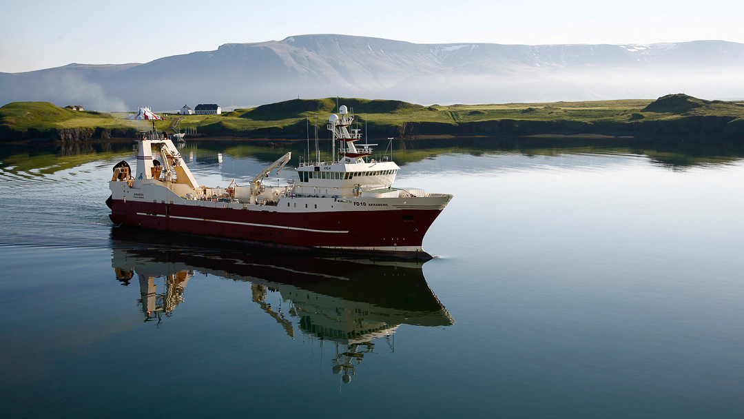 Reykavik cp