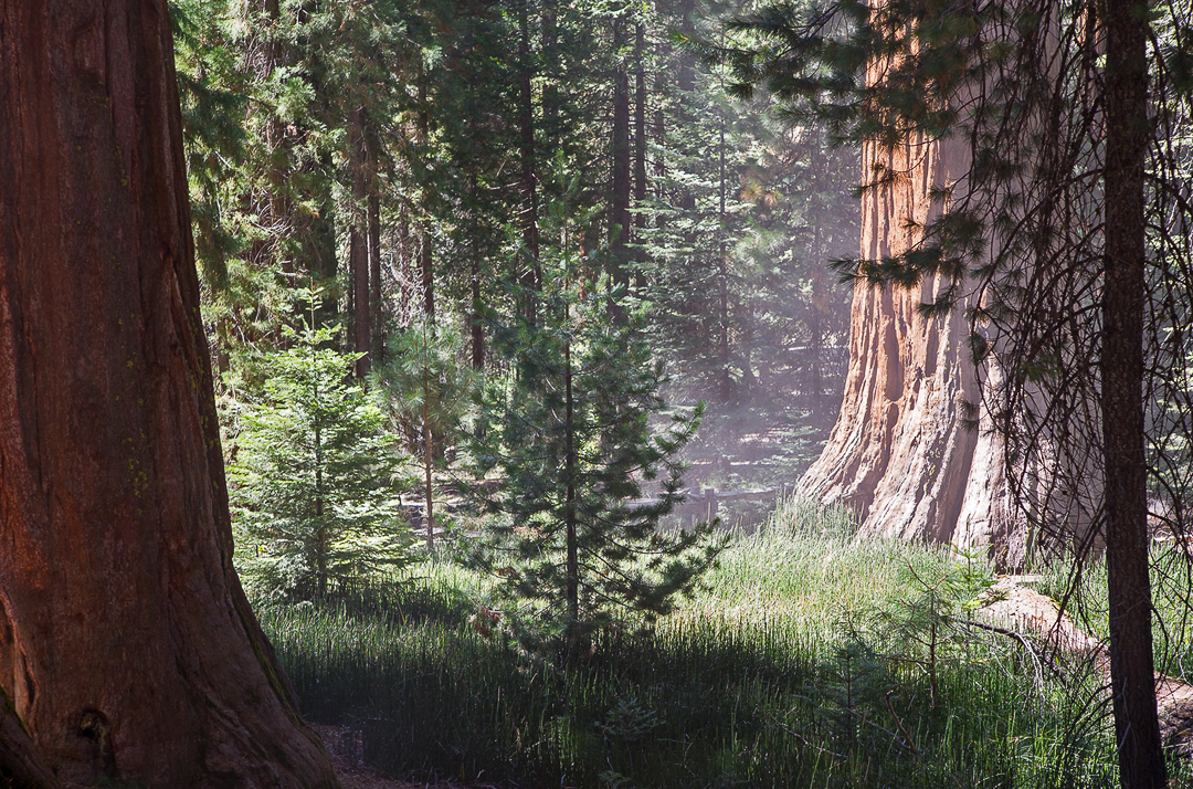 Yosemite cp