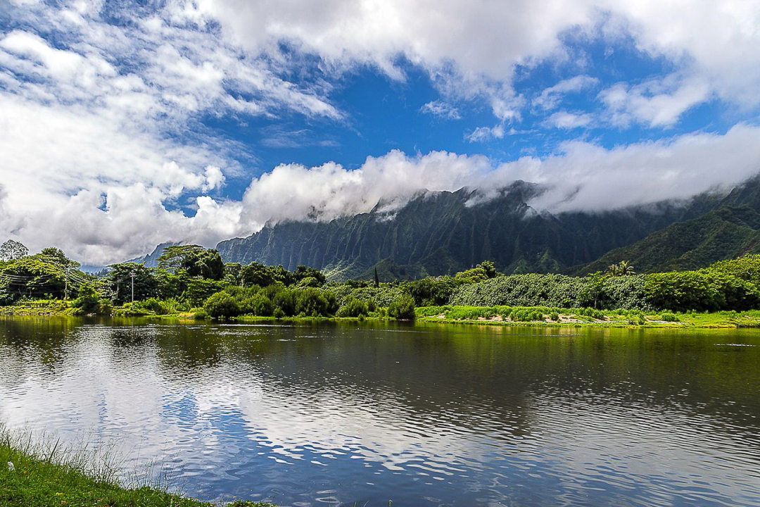 Ahuimanu_Stream