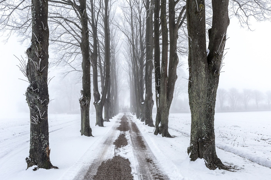 Winter_t_ge