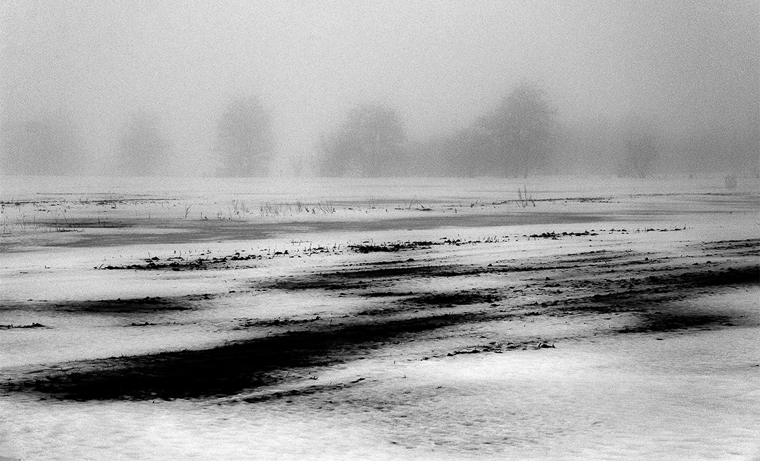 07. Damhussøen