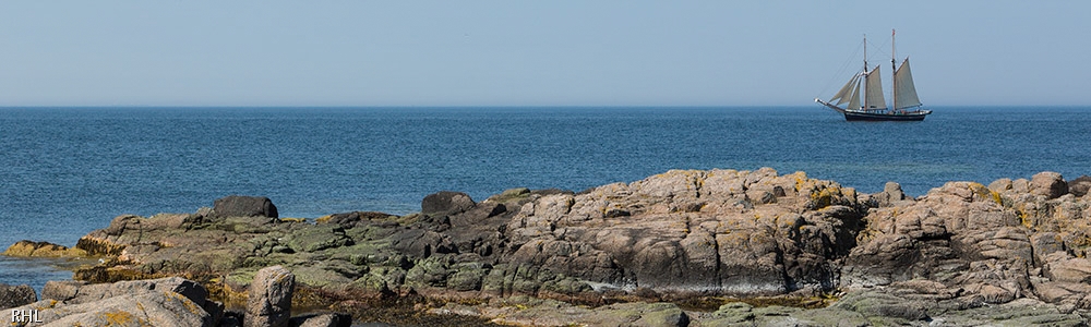 Bornholmsk kyst 4