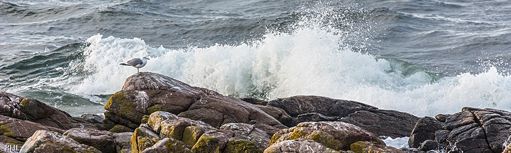 Bornholmsk kyst 6