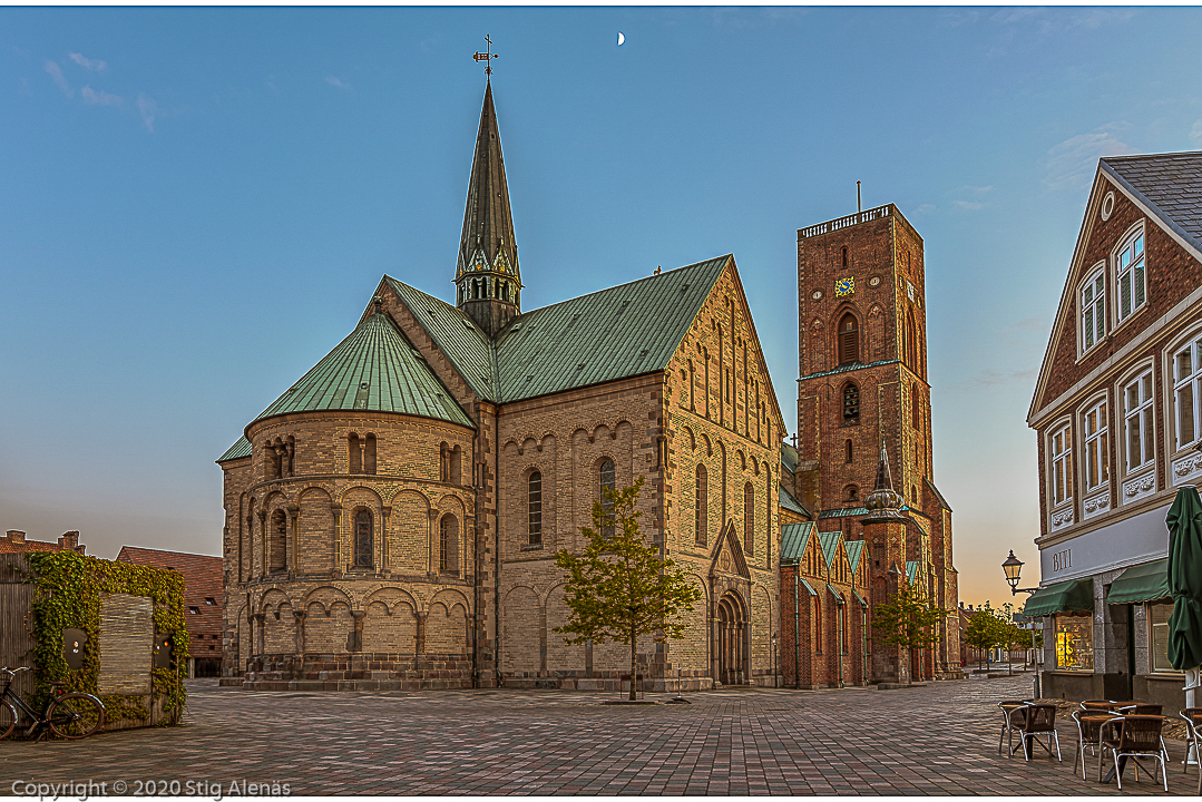 Ribe